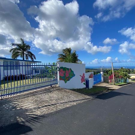 Million Dollar View In Puerto Rico Villa Luquillo Eksteriør bilde