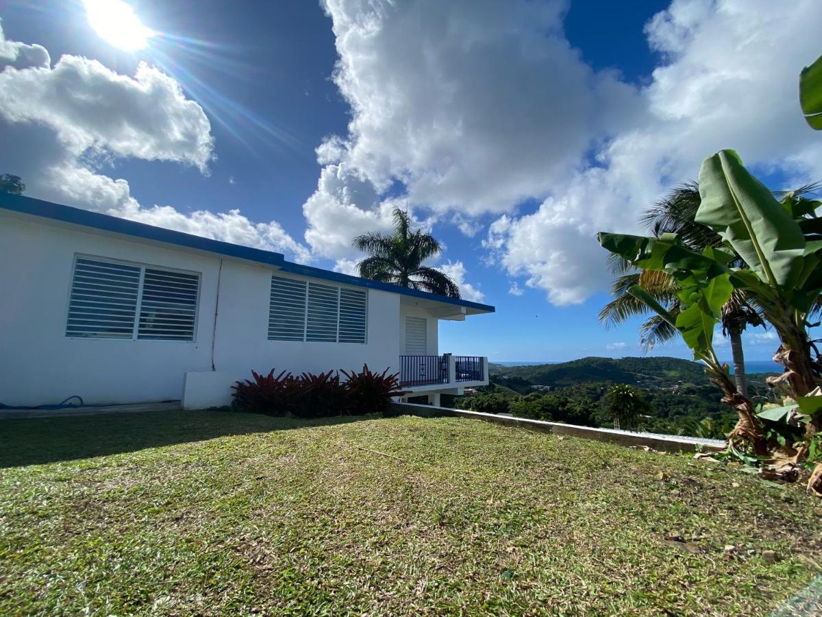Million Dollar View In Puerto Rico Villa Luquillo Eksteriør bilde