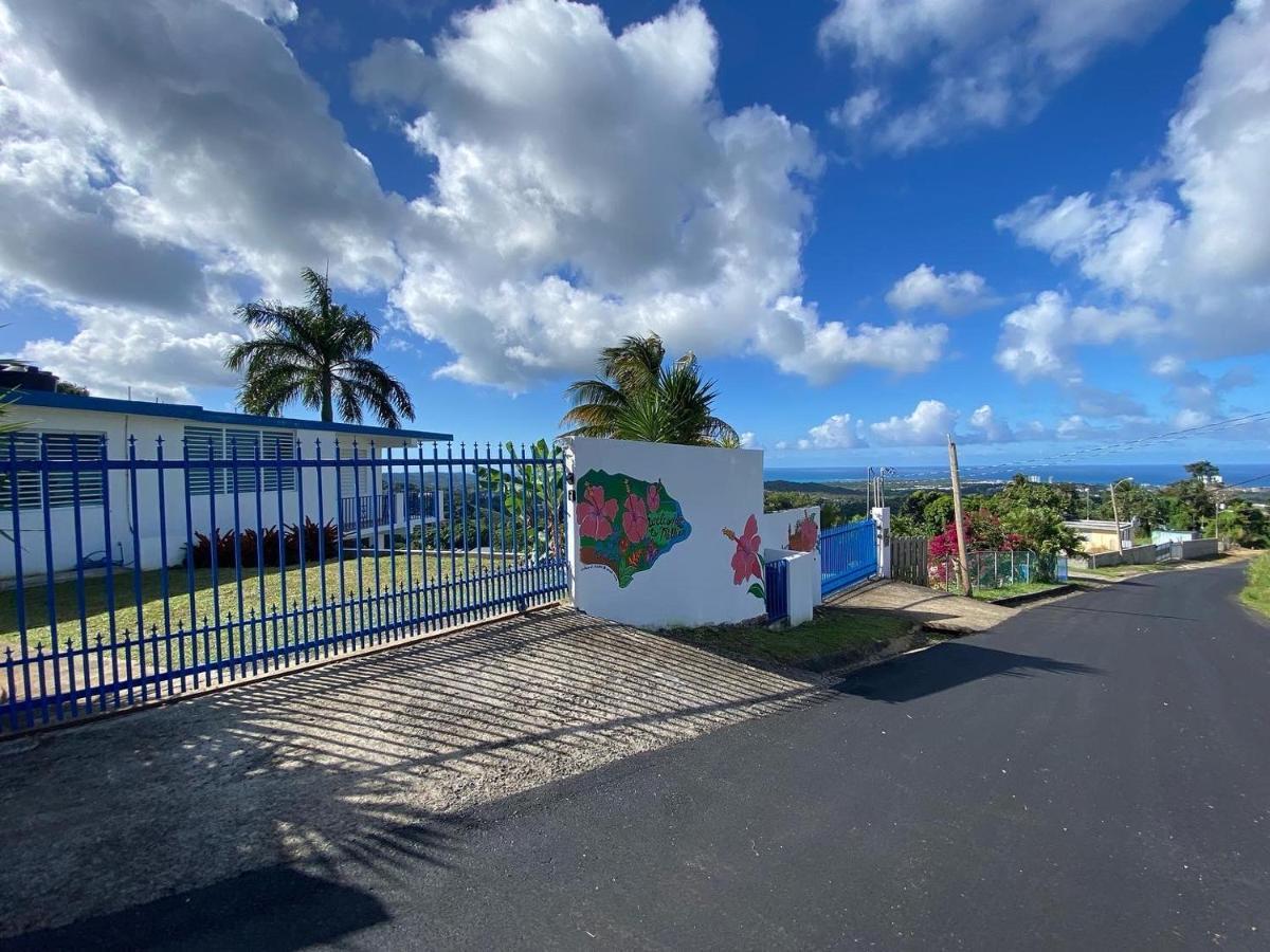 Million Dollar View In Puerto Rico Villa Luquillo Eksteriør bilde