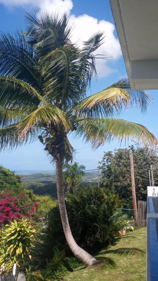 Million Dollar View In Puerto Rico Villa Luquillo Eksteriør bilde