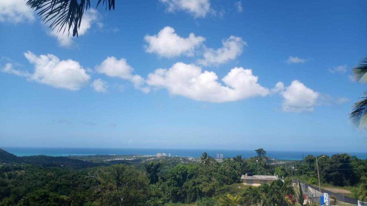 Million Dollar View In Puerto Rico Villa Luquillo Eksteriør bilde