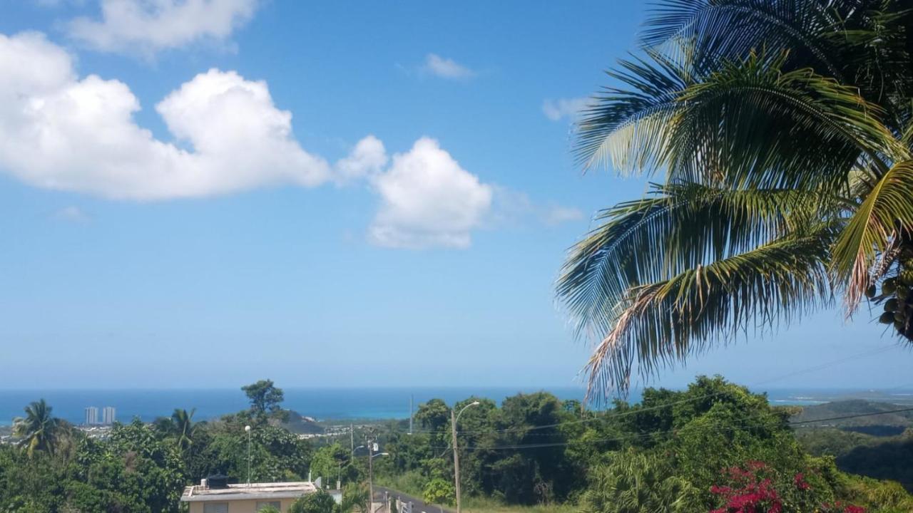Million Dollar View In Puerto Rico Villa Luquillo Eksteriør bilde