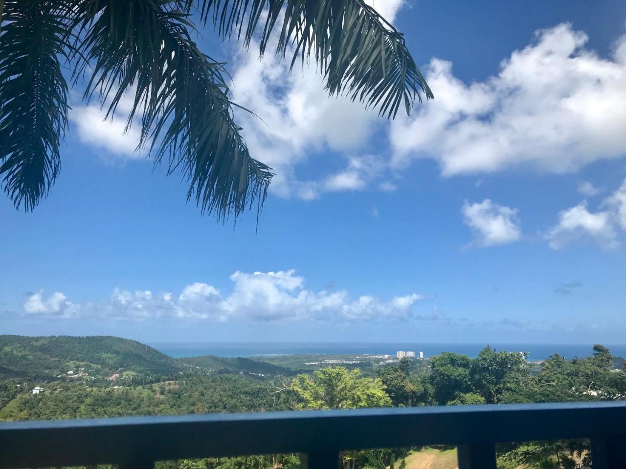 Million Dollar View In Puerto Rico Villa Luquillo Eksteriør bilde