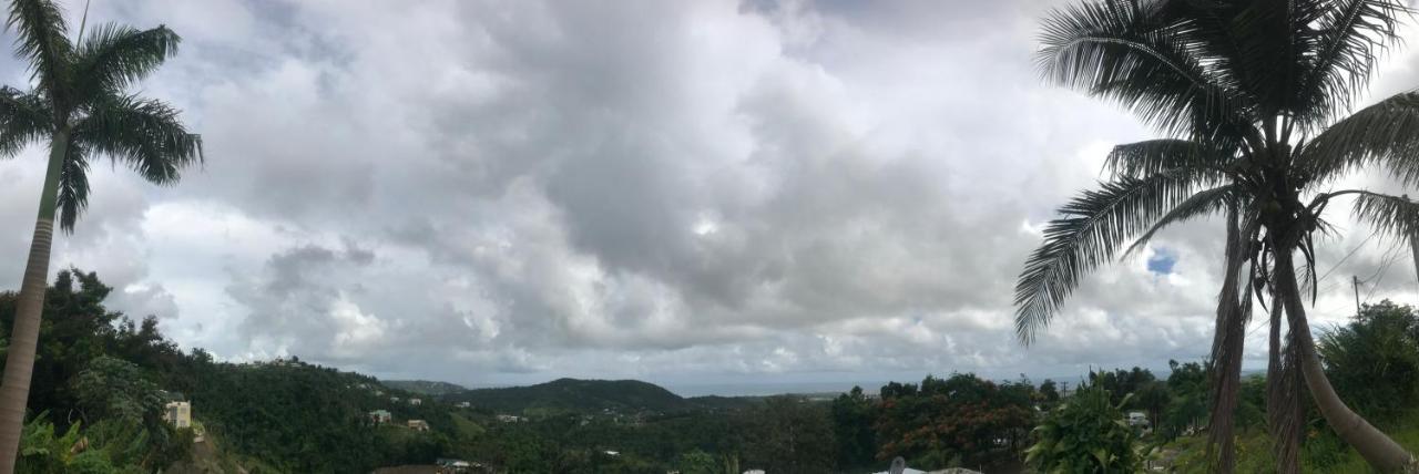 Million Dollar View In Puerto Rico Villa Luquillo Eksteriør bilde