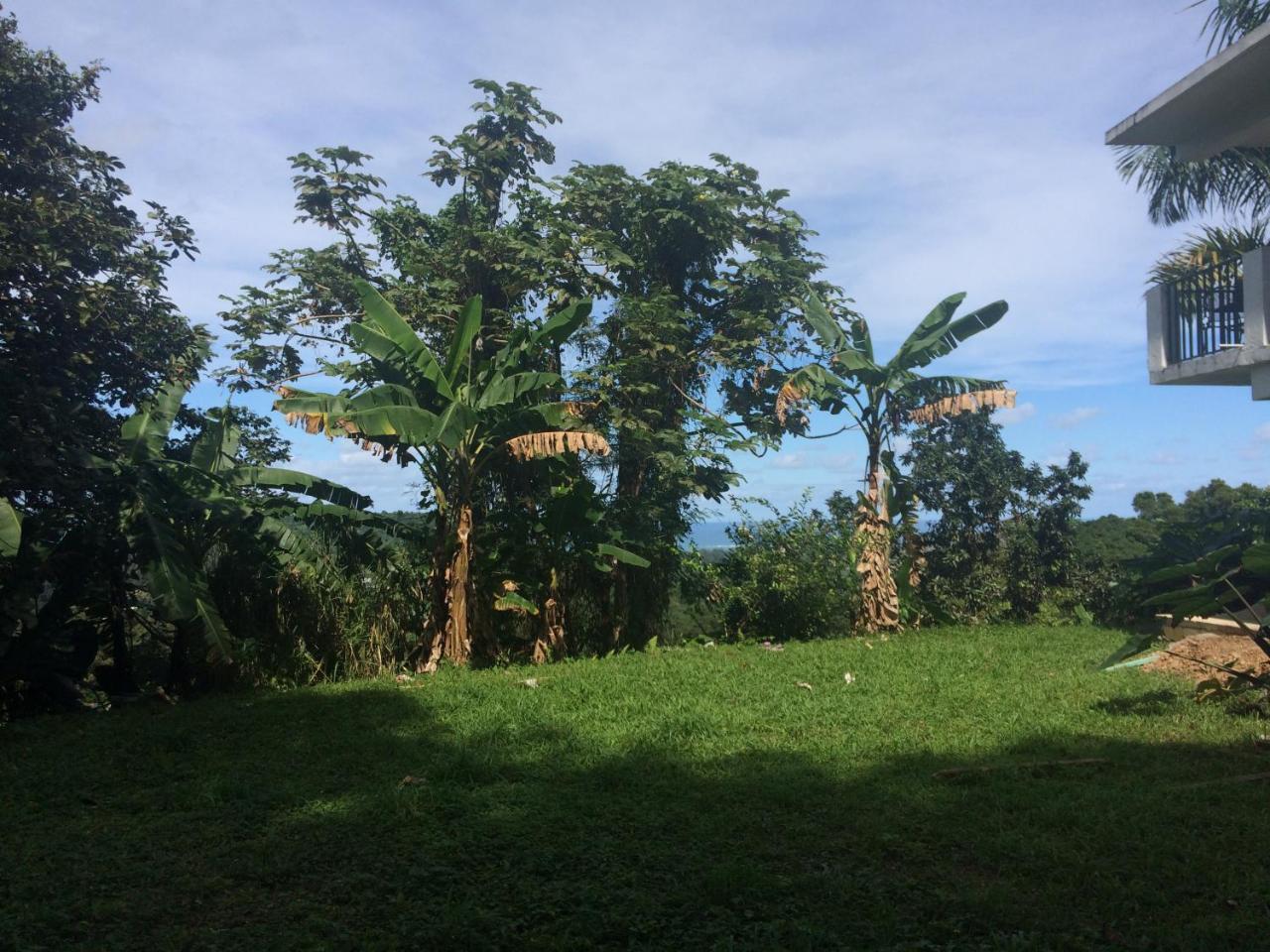 Million Dollar View In Puerto Rico Villa Luquillo Eksteriør bilde